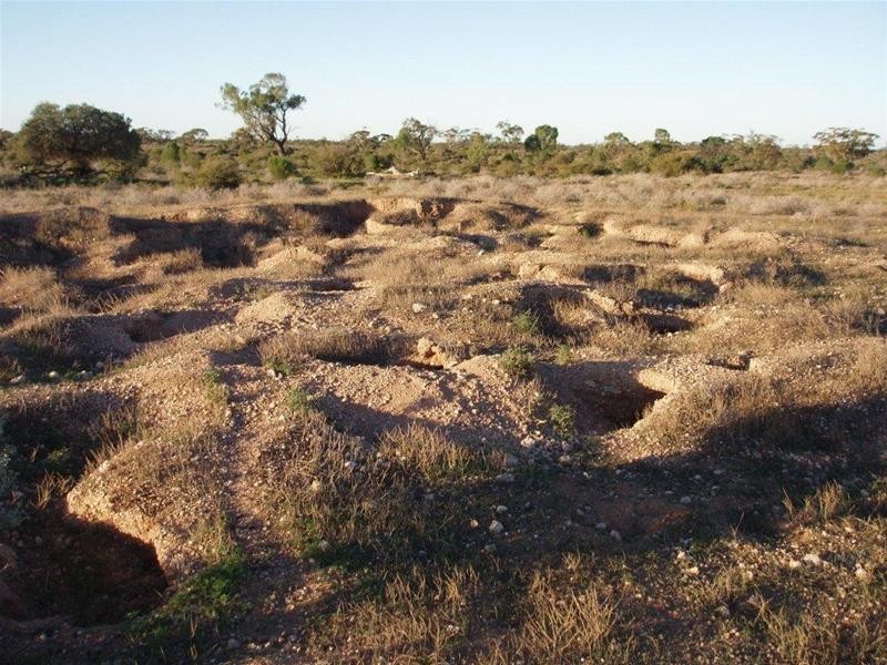 Section 97 Broncos Road, Swan Reach SA 5354