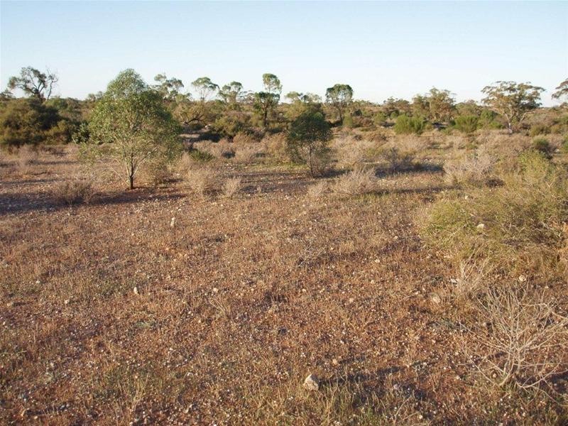 Section 97 Broncos Road, Swan Reach SA 5354