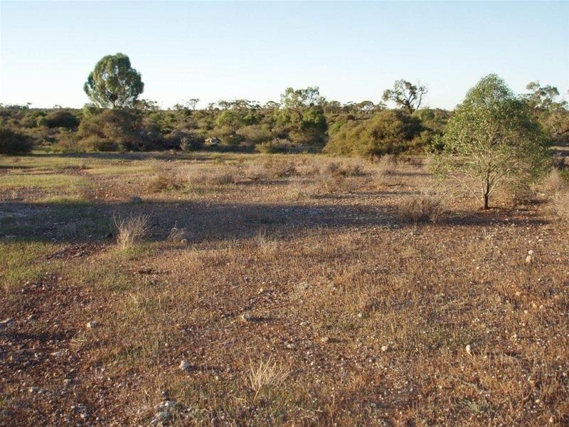 Section 97 Broncos Road, Swan Reach SA 5354