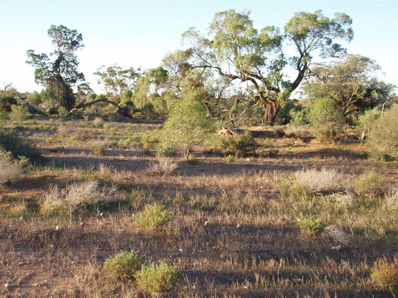 Section 97 Broncos Road, Swan Reach SA 5354