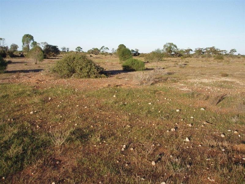 Section 97 Broncos Road, Swan Reach SA 5354