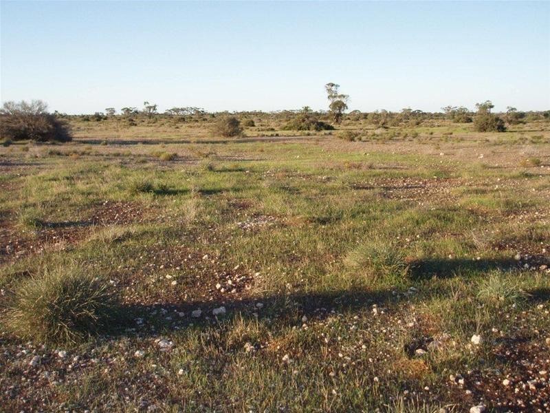 Section 97 Broncos Road, Swan Reach SA 5354