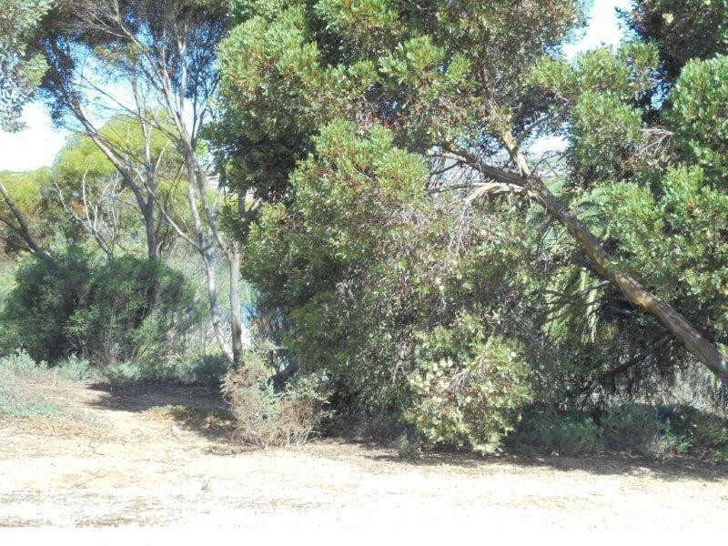 73 Preiss Street, Mannum SA 5238