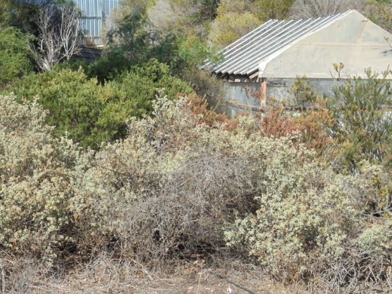 73 Preiss Street, Mannum SA 5238