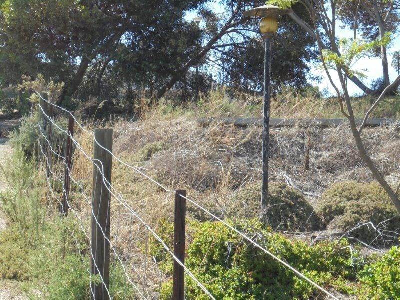 73 Preiss Street, Mannum SA 5238