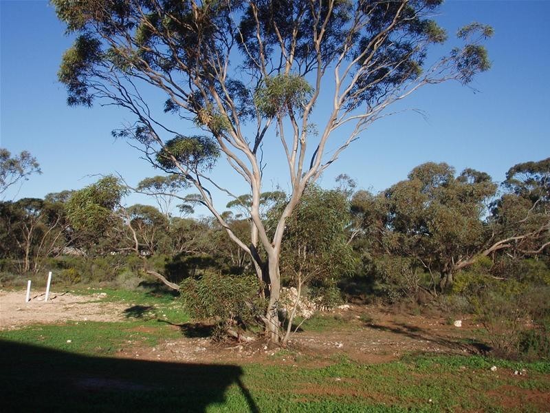 Lot 8 William Street, Sedan SA 5353