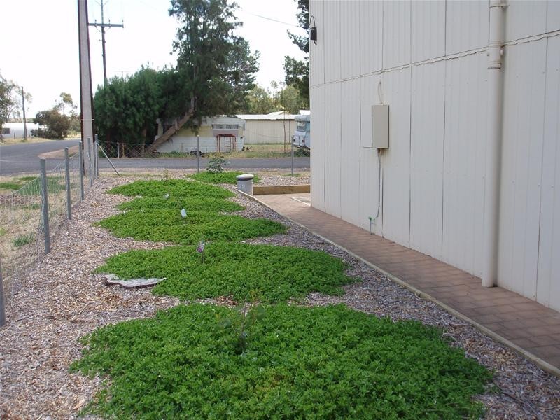 25 Rob Loxton Road, Walker Flat SA 5238