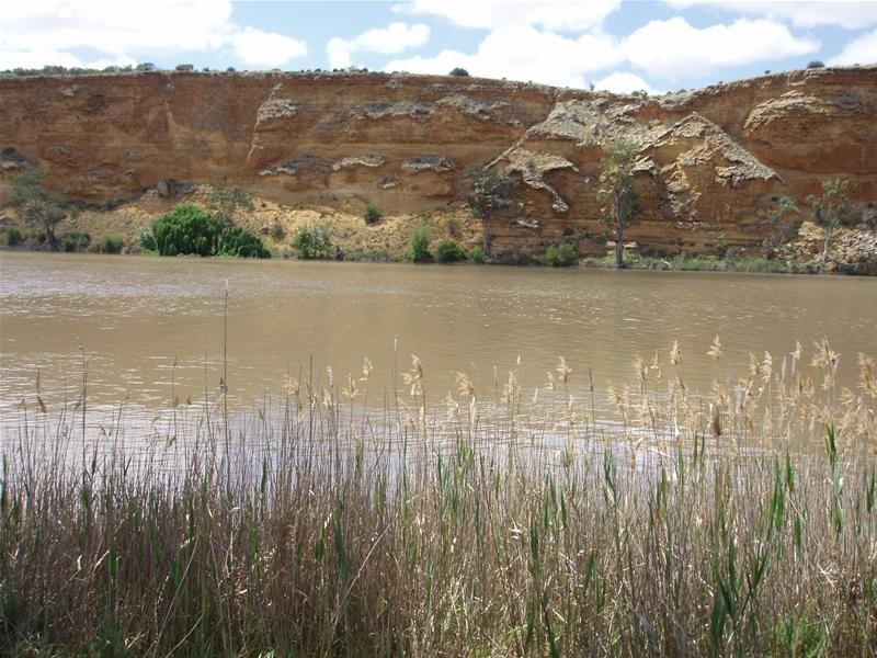 25 Rob Loxton Road, Walker Flat SA 5238