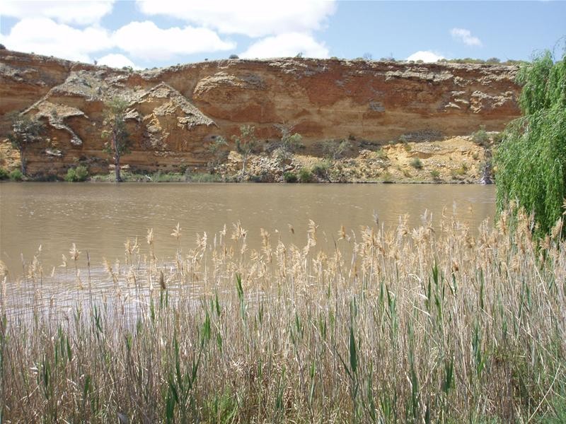 25 Rob Loxton Road, Walker Flat SA 5238