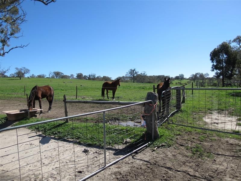 298 McGormans Road, Mount Pleasant SA 5235