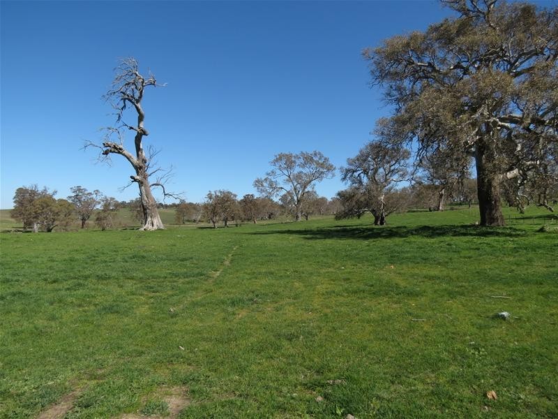 298 McGormans Road, Mount Pleasant SA 5235