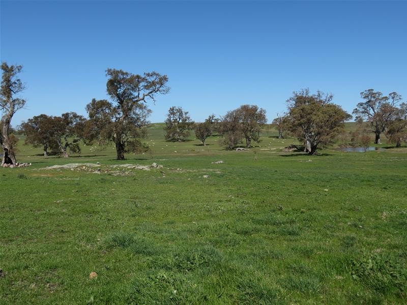 298 McGormans Road, Mount Pleasant SA 5235