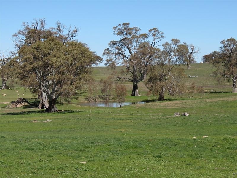 298 McGormans Road, Mount Pleasant SA 5235