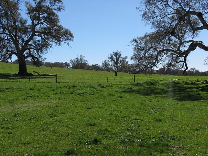 298 McGormans Road, Mount Pleasant SA 5235