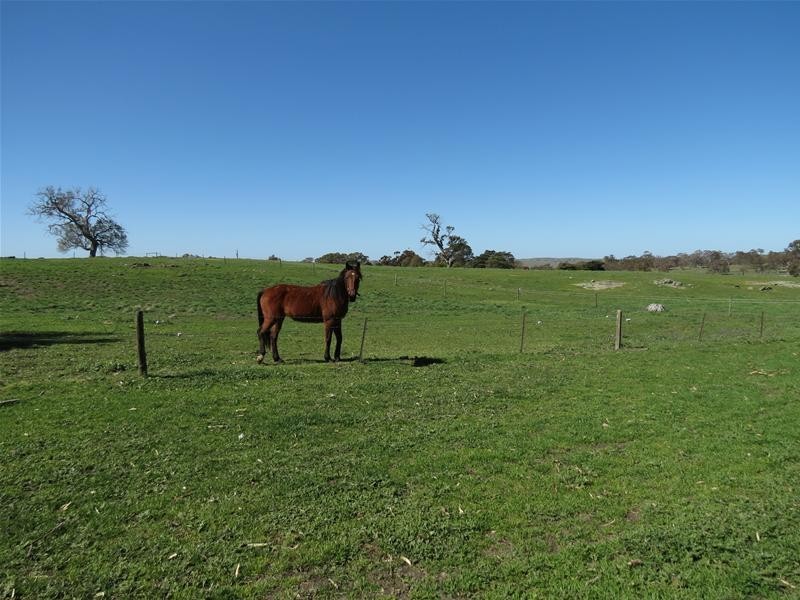 298 McGormans Road, Mount Pleasant SA 5235