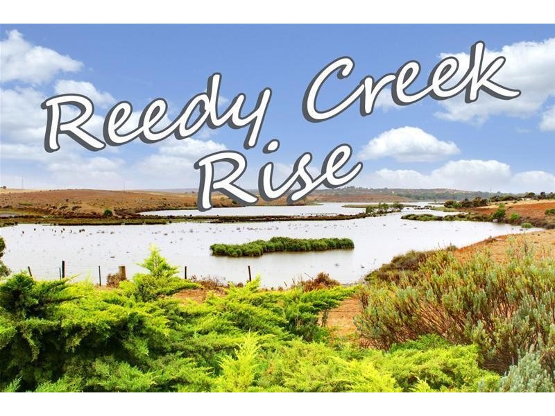 56 Reedy Creek Rise, Caloote Road, Caloote SA 5254