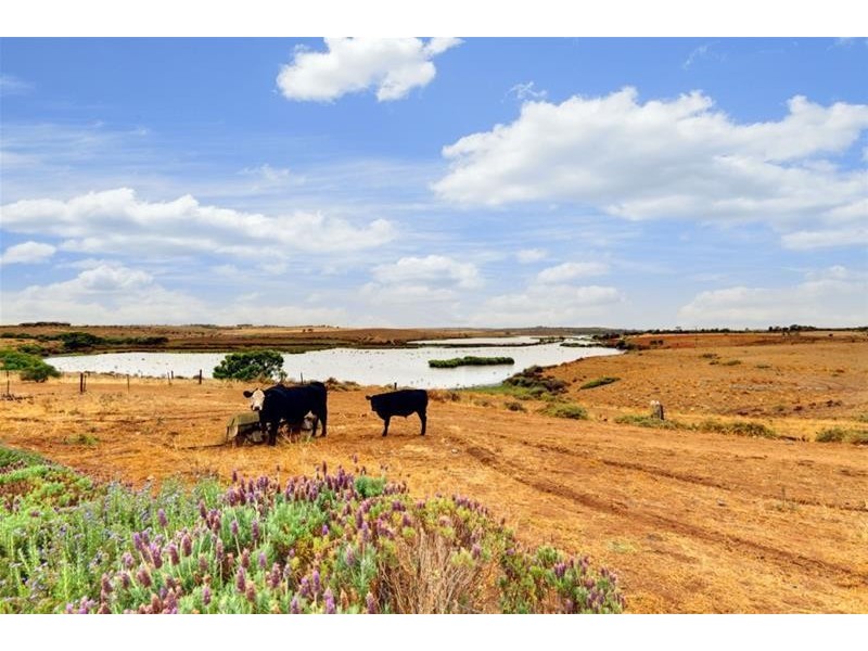 56 Reedy Creek Rise, Caloote Road, Caloote SA 5254