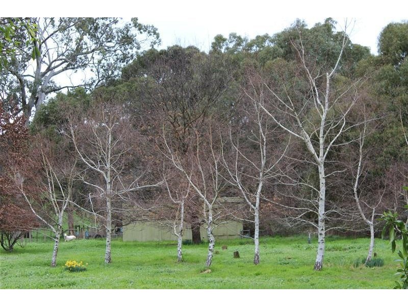 20 Kenton Valley Road, Lobethal SA 5241