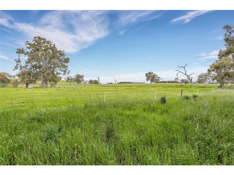 24 Melrose Street, Mount Pleasant SA 5235