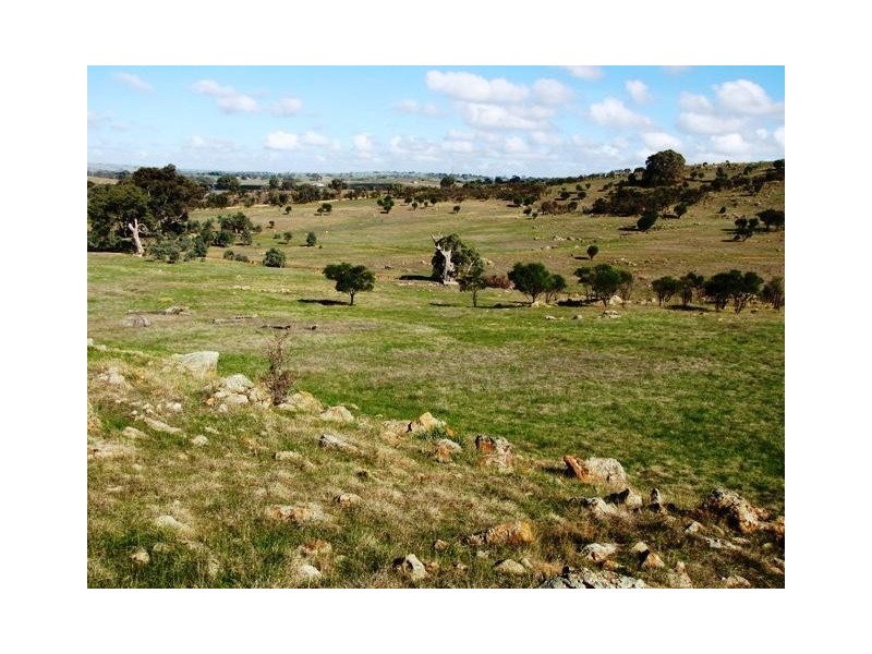 Lot 20 Jutland  Road, Springton SA 5235