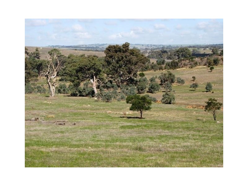 Lot 20 Jutland  Road, Springton SA 5235