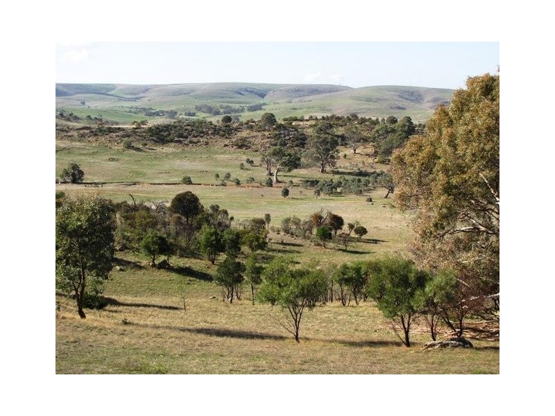 Lot 20 Jutland  Road, Springton SA 5235