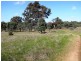 Lot 20 Jutland  Road, Springton SA 5235