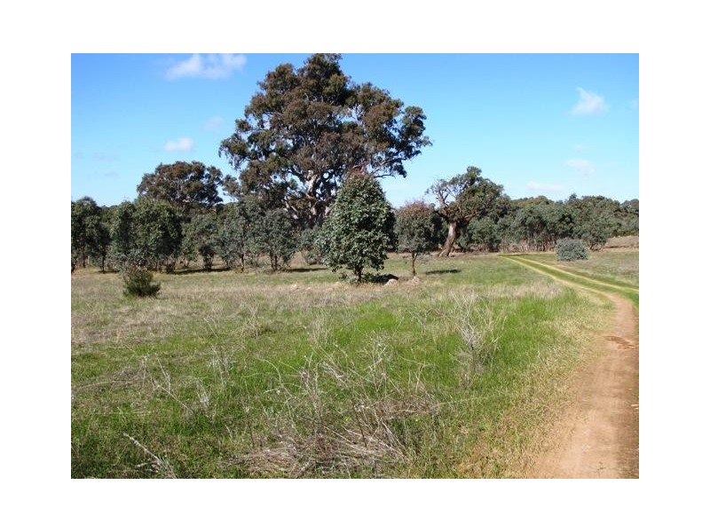Lot 20 Jutland  Road, Springton SA 5235