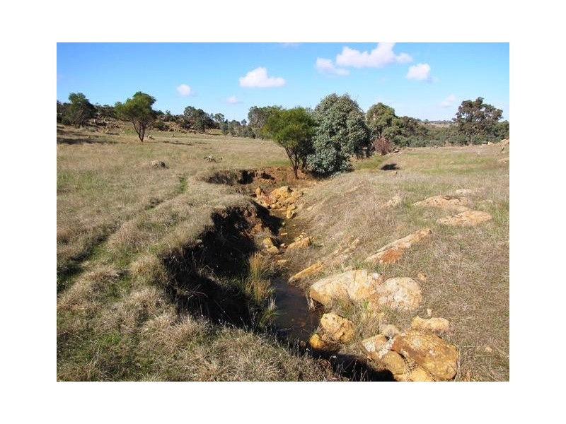 Lot 20 Jutland  Road, Springton SA 5235