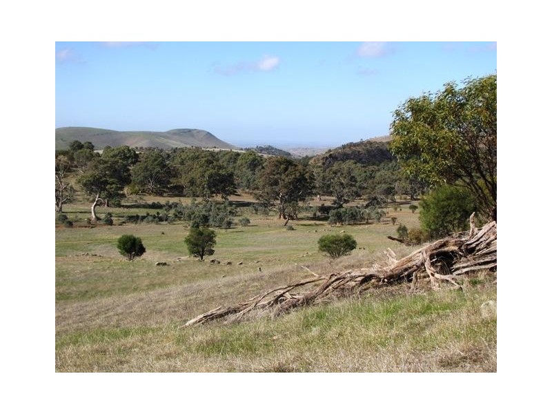 Lot 20 Jutland  Road, Springton SA 5235