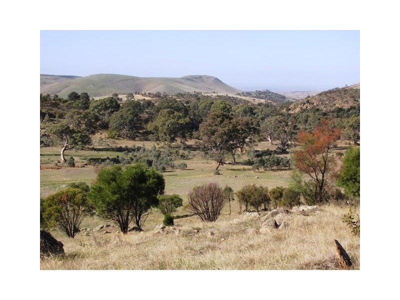 Lot 20 Jutland  Road, Springton SA 5235