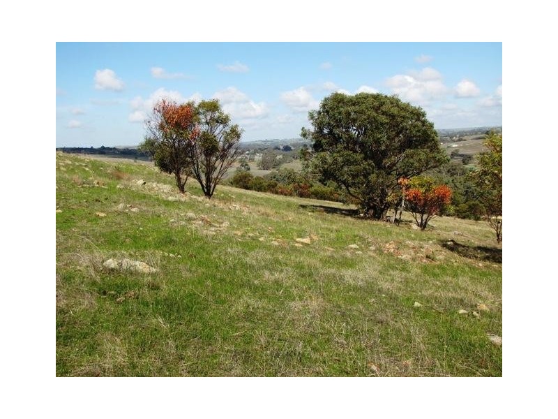 Lot 20 Jutland  Road, Springton SA 5235