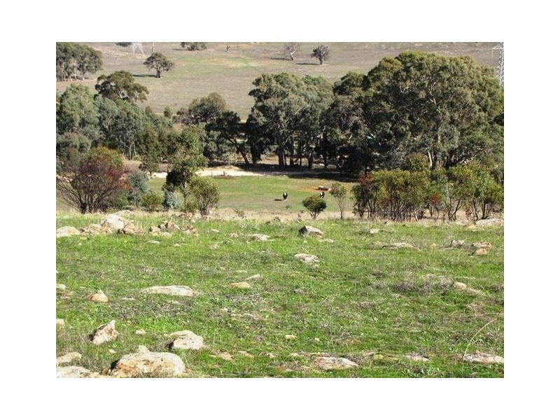 Lot 20 Jutland  Road, Springton SA 5235