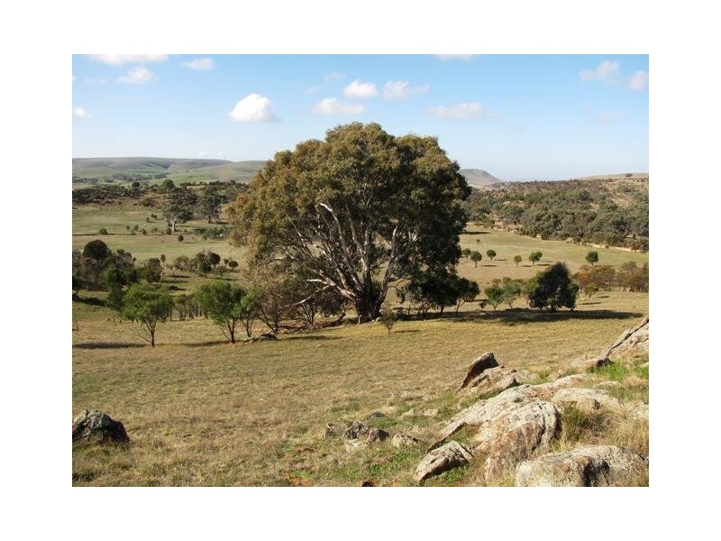 Lot 20 Jutland  Road, Springton SA 5235