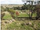 Lot 20 Jutland  Road, Springton SA 5235