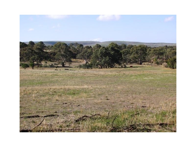 Lot 20 Jutland  Road, Springton SA 5235