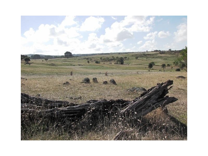 Lot 20 Jutland  Road, Springton SA 5235