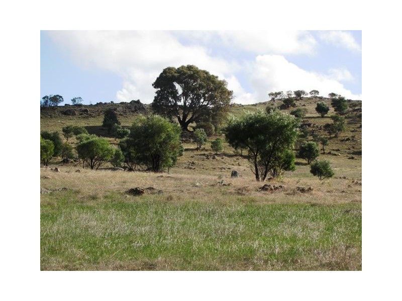 Lot 20 Jutland  Road, Springton SA 5235