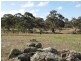 Lot 20 Jutland  Road, Springton SA 5235