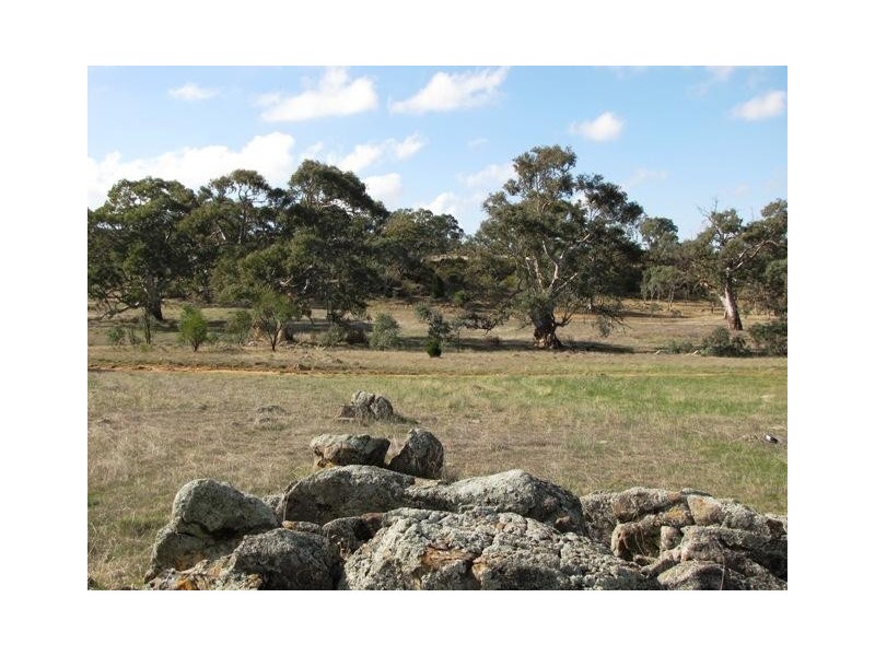 Lot 20 Jutland  Road, Springton SA 5235