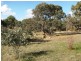 Lot 20 Jutland  Road, Springton SA 5235