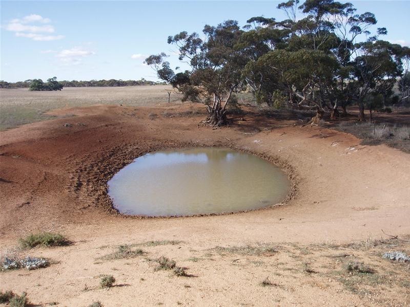 S 129, 130, 207 Sleeper Track Road, Sedan SA 5353