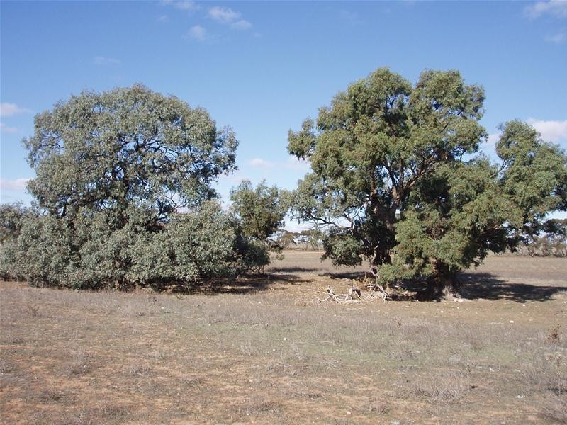 S 129, 130, 207 Sleeper Track Road, Sedan SA 5353