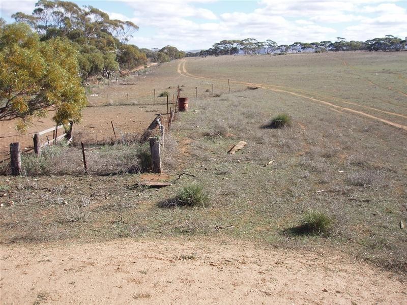 S 129, 130, 207 Sleeper Track Road, Sedan SA 5353