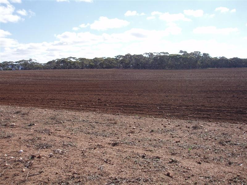 S 129, 130, 207 Sleeper Track Road, Sedan SA 5353