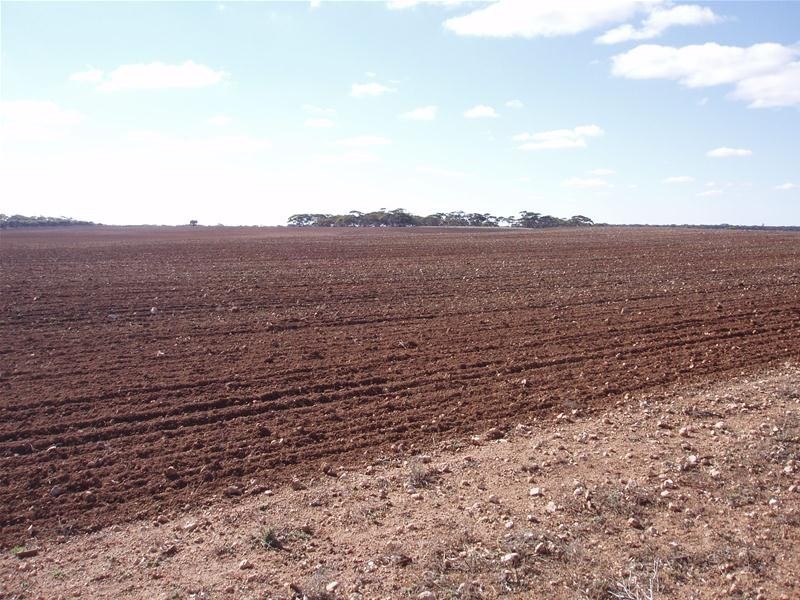 S 129, 130, 207 Sleeper Track Road, Sedan SA 5353