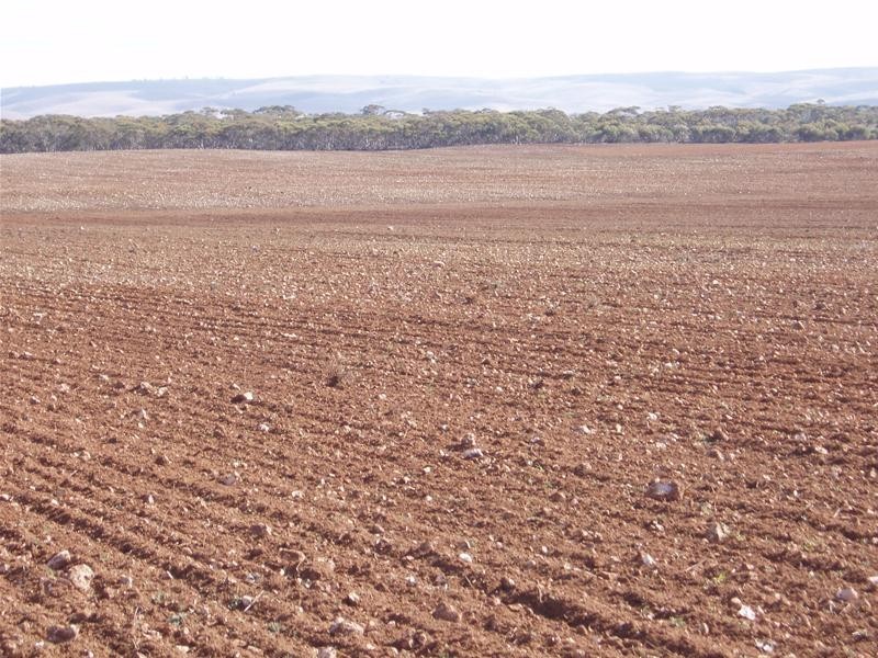 S 129, 130, 207 Sleeper Track Road, Sedan SA 5353