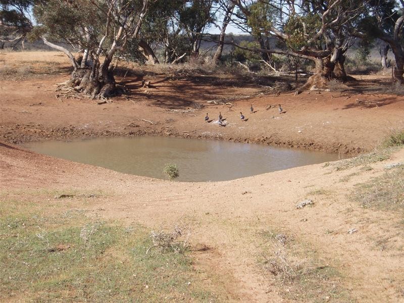 S 129, 130, 207 Sleeper Track Road, Sedan SA 5353