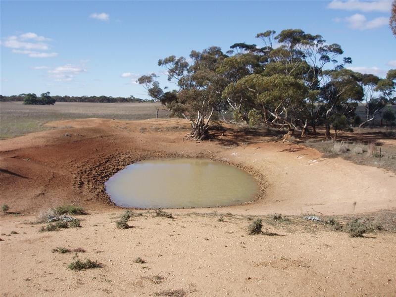 S 129, 130, 207 Sleeper Track Road, Sedan SA 5353