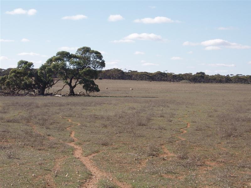 S 129, 130, 207 Sleeper Track Road, Sedan SA 5353